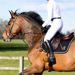 PS of Sweden Saddle Pad Jump Elite - Black - PS of Sweden - Equiluxe Tack