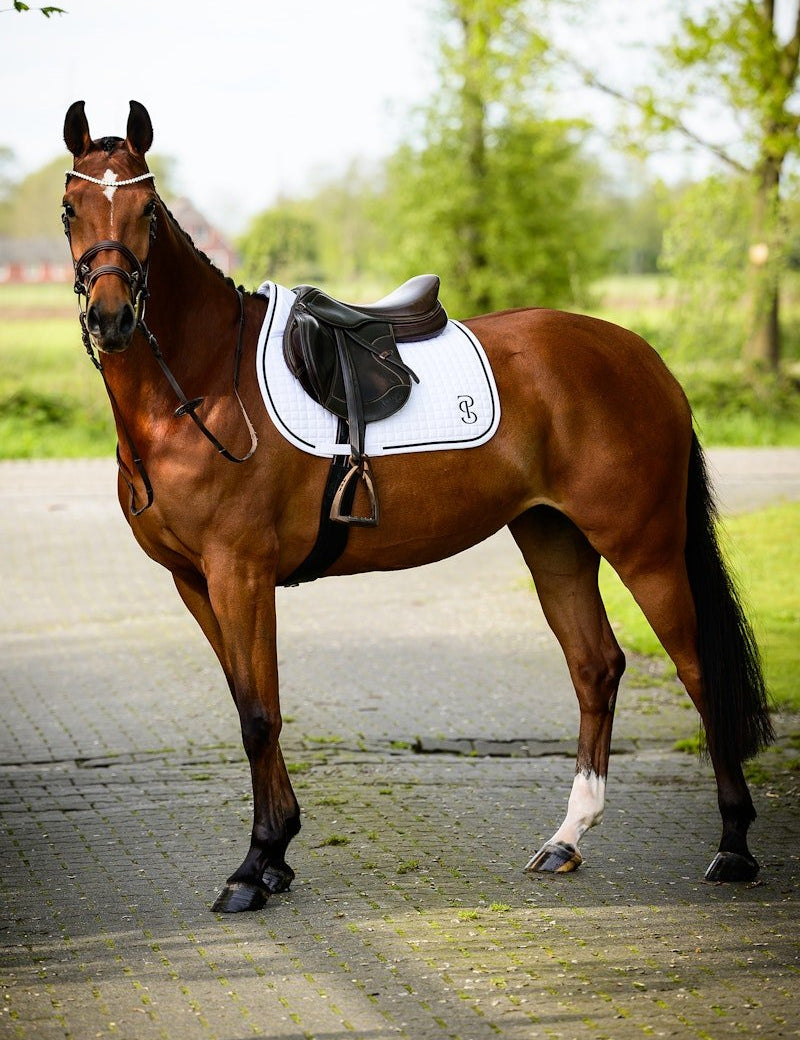 PS of Sweden Saddle Pad Jump Elite - White - PS of Sweden - Equiluxe Tack