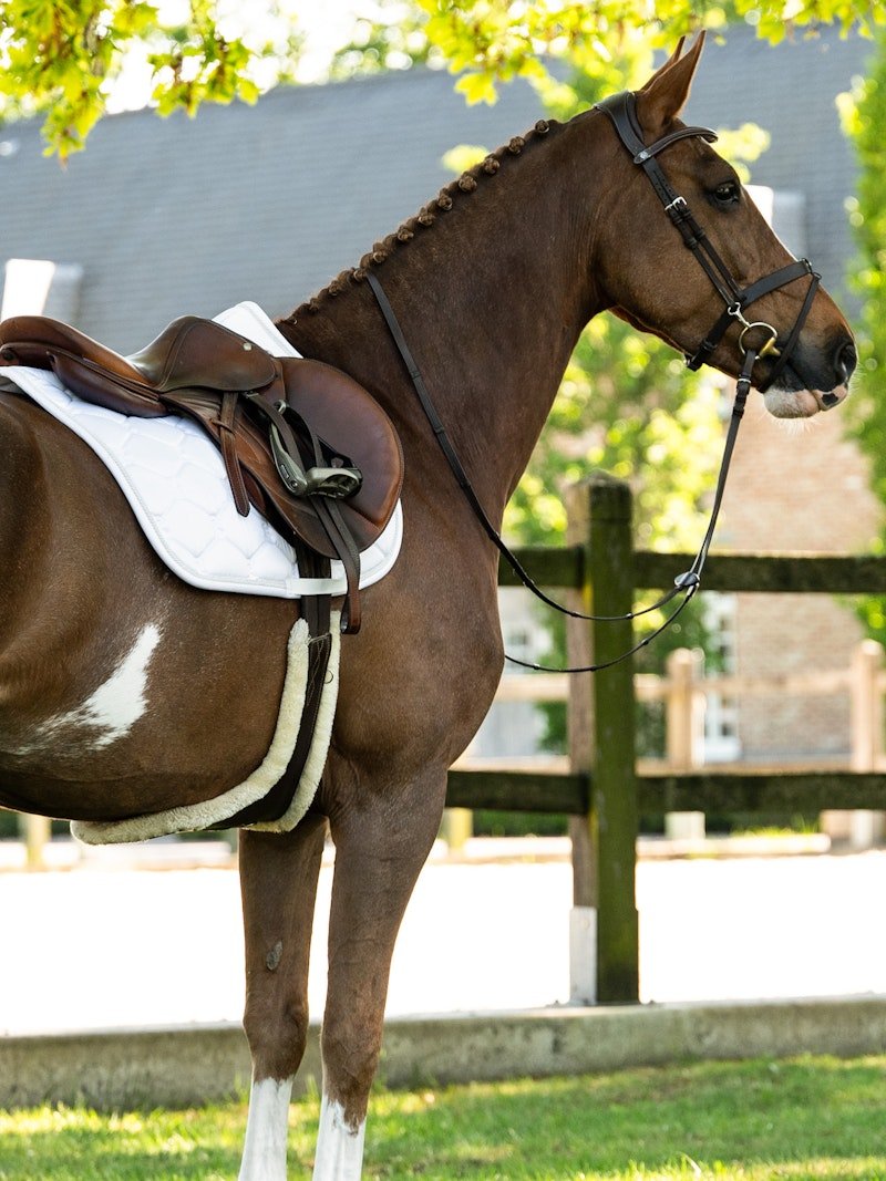 PS of Sweden Saddle Pad Jump Signature - White - PS of Sweden - Equiluxe Tack