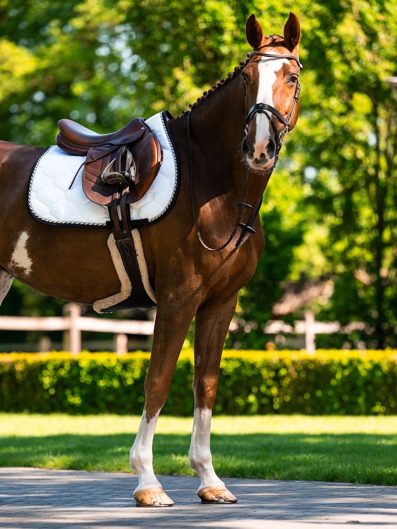 PS of Sweden Saddle Pad Jump Signature - White/Black - PS of Sweden - Equiluxe Tack