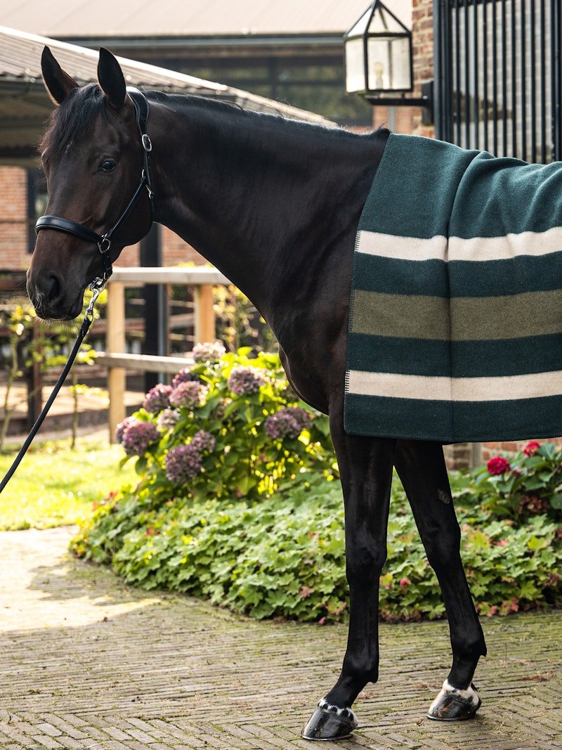 PS of Sweden Striped Wool Blanket - Midnight Green - PS of Sweden - Equiluxe Tack