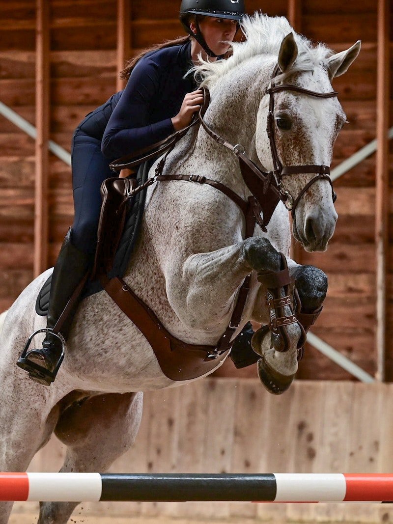 PS of Sweden Sydney Jumping Girth - PS of Sweden - Equiluxe Tack