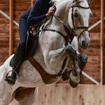 PS of Sweden Sydney Jumping Girth - PS of Sweden - Equiluxe Tack