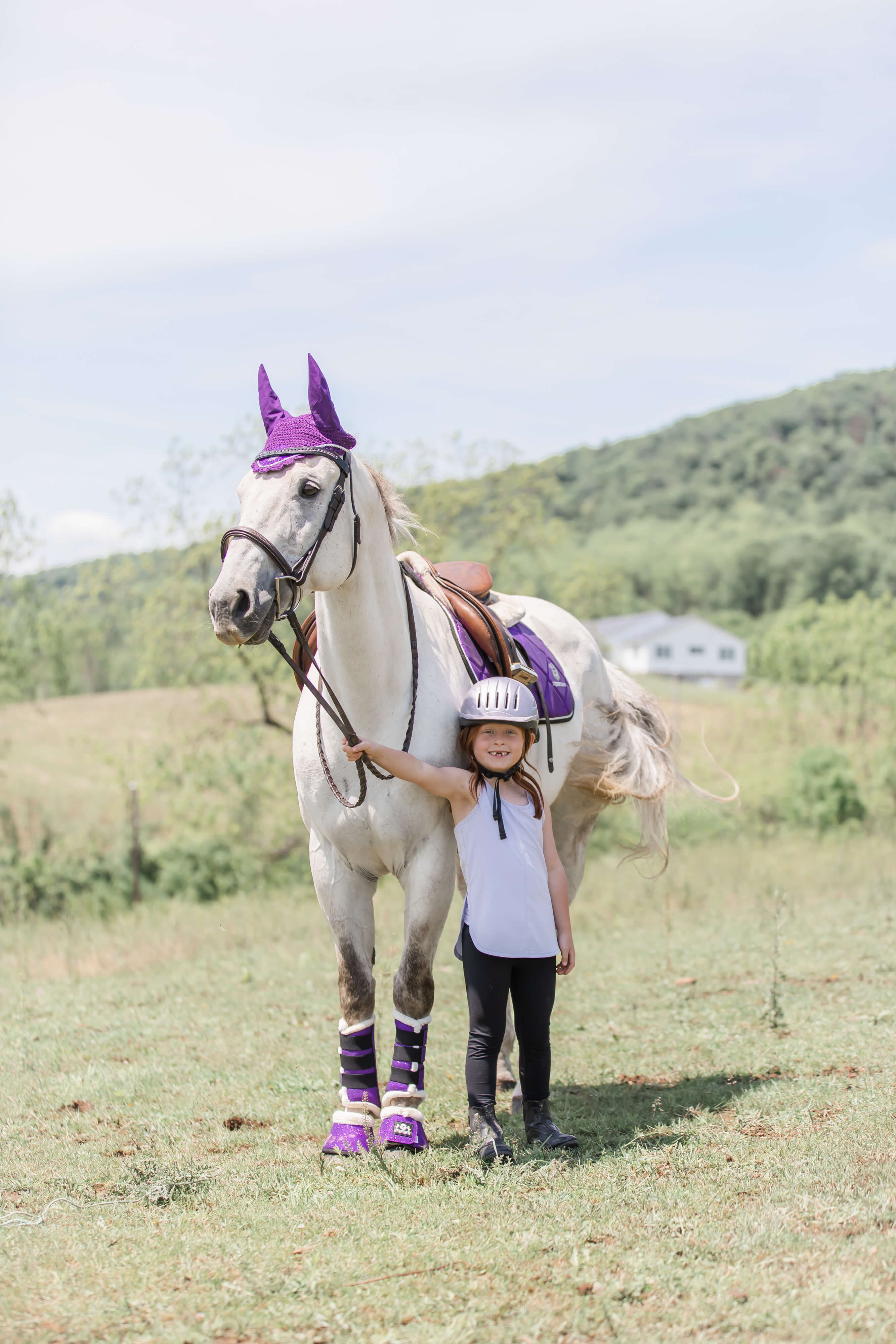 Purple Amethyst Brushing Boots - Equestroom - Equiluxe Tack
