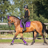 Purple Amethyst Saddle Pad Set - Equestroom - Equiluxe Tack