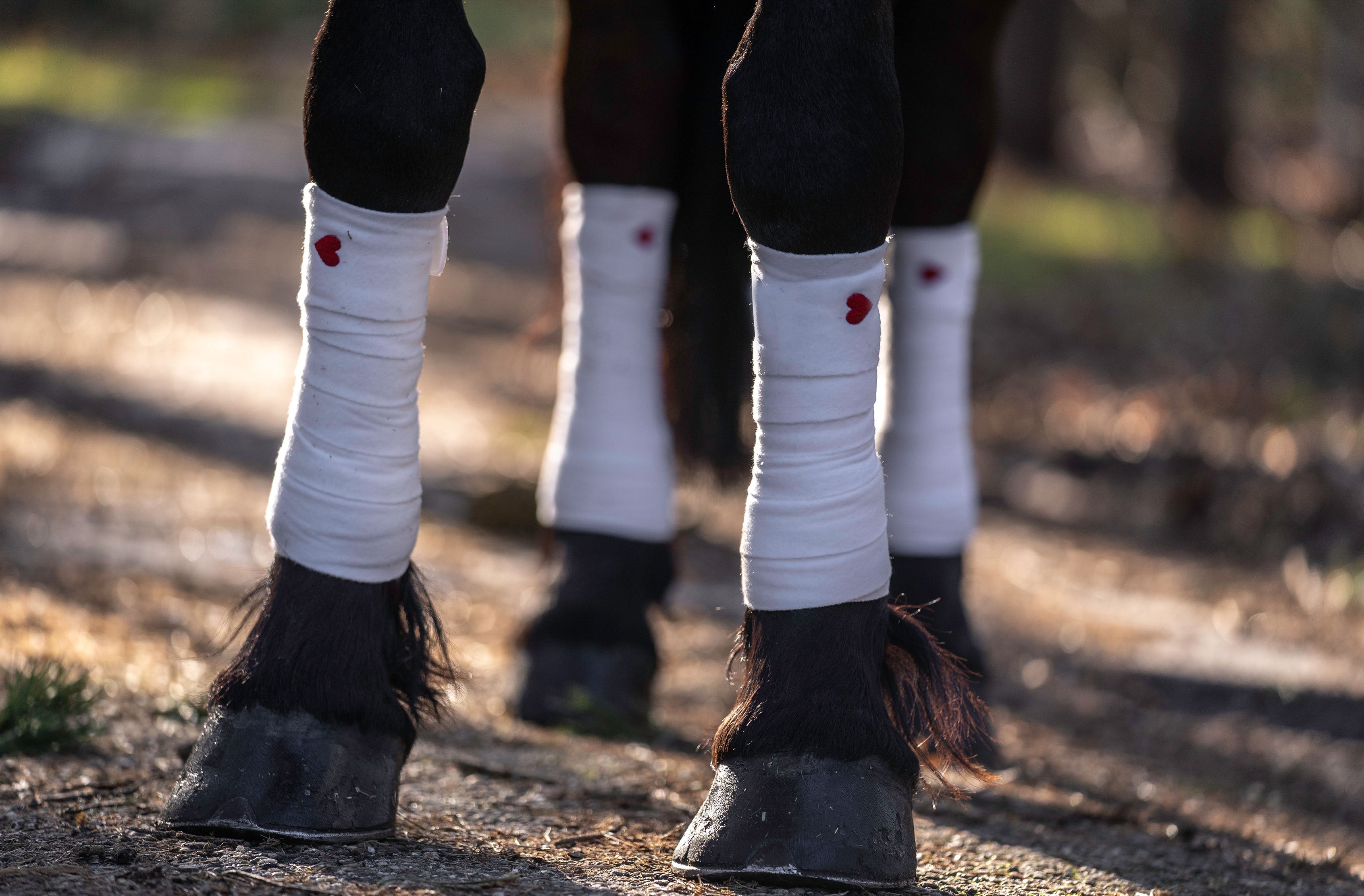 Queen Of Hearts Polo Wraps - Equestroom - Equiluxe Tack