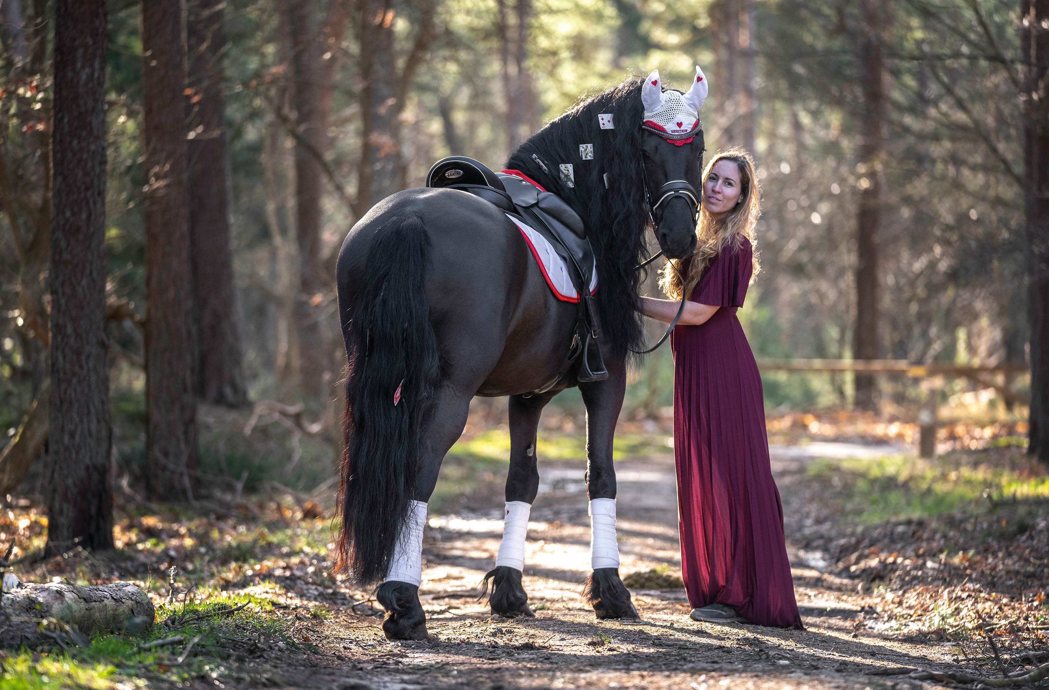 Queen Of Hearts Polo Wraps - Equestroom - Equiluxe Tack