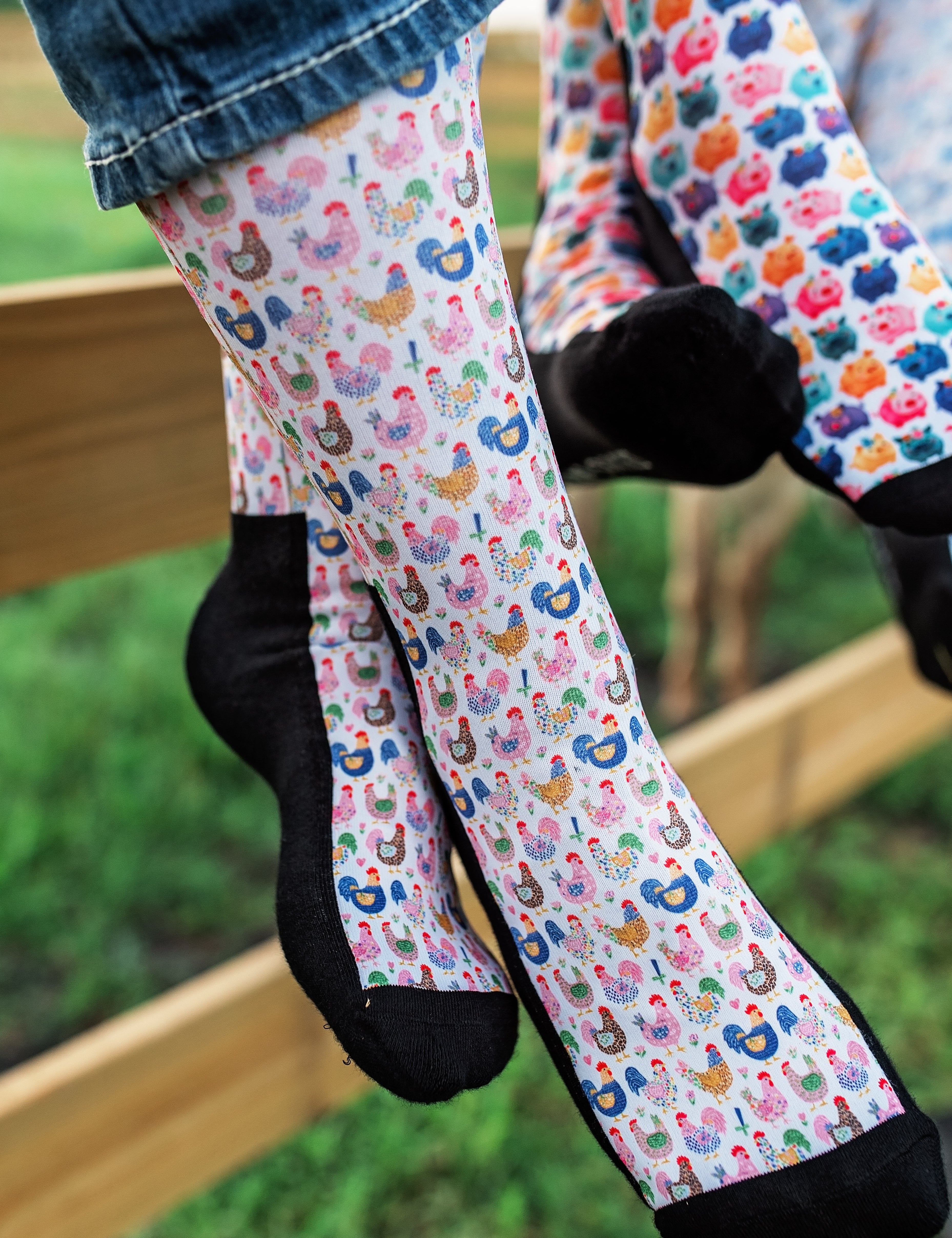 Red Barn Socks Peck Yeah! - Equiluxe Tack
