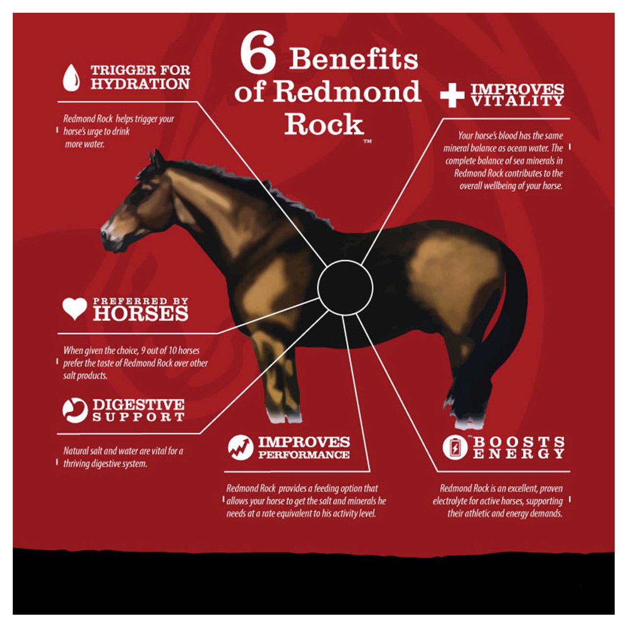 Redmond™ Daily Red® Crushed™ Mineral Supplement - Redmond - Equiluxe Tack