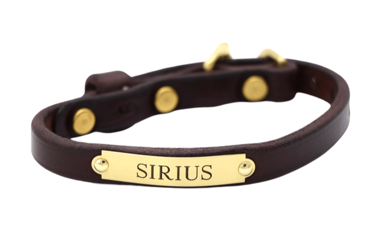 Remarkable Leather Goods Classic Dog Collar (690) - Remarkable Leather Goods - Equiluxe Tack
