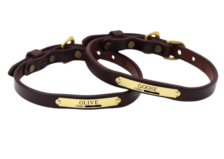 Remarkable Leather Goods Classic Dog Collar (690) - Remarkable Leather Goods - Equiluxe Tack