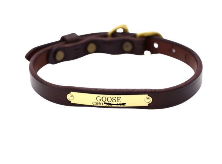 Remarkable Leather Goods Classic Dog Collar (690) - Remarkable Leather Goods - Equiluxe Tack