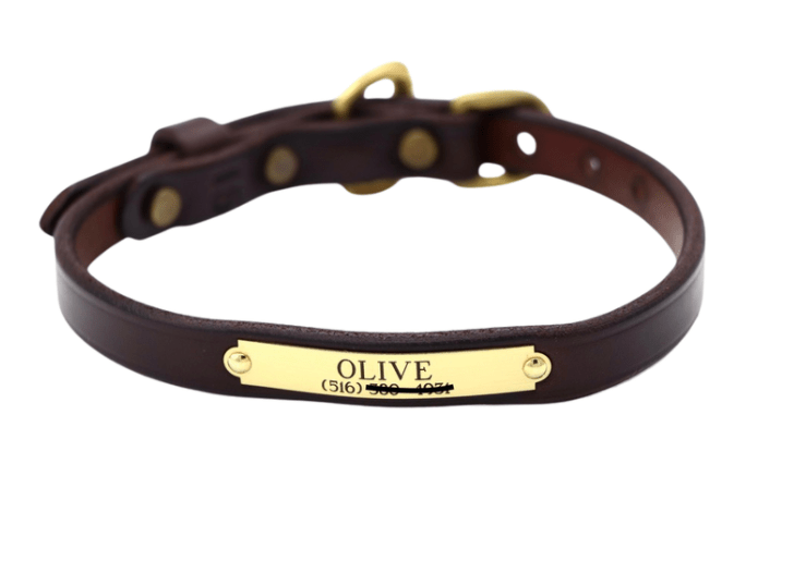 Remarkable Leather Goods Classic Dog Collar (690) - Remarkable Leather Goods - Equiluxe Tack
