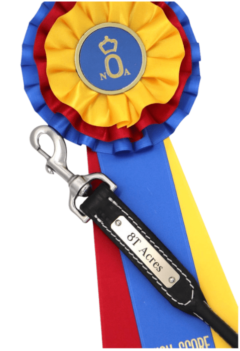 Remarkable Leather Goods Elegant Lead Nameplate - Remarkable Leather Goods - Equiluxe Tack
