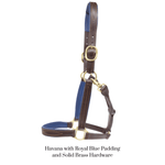 Remarkable Leather Goods GHC Padded Halter - Remarkable Leather Goods - Equiluxe Tack
