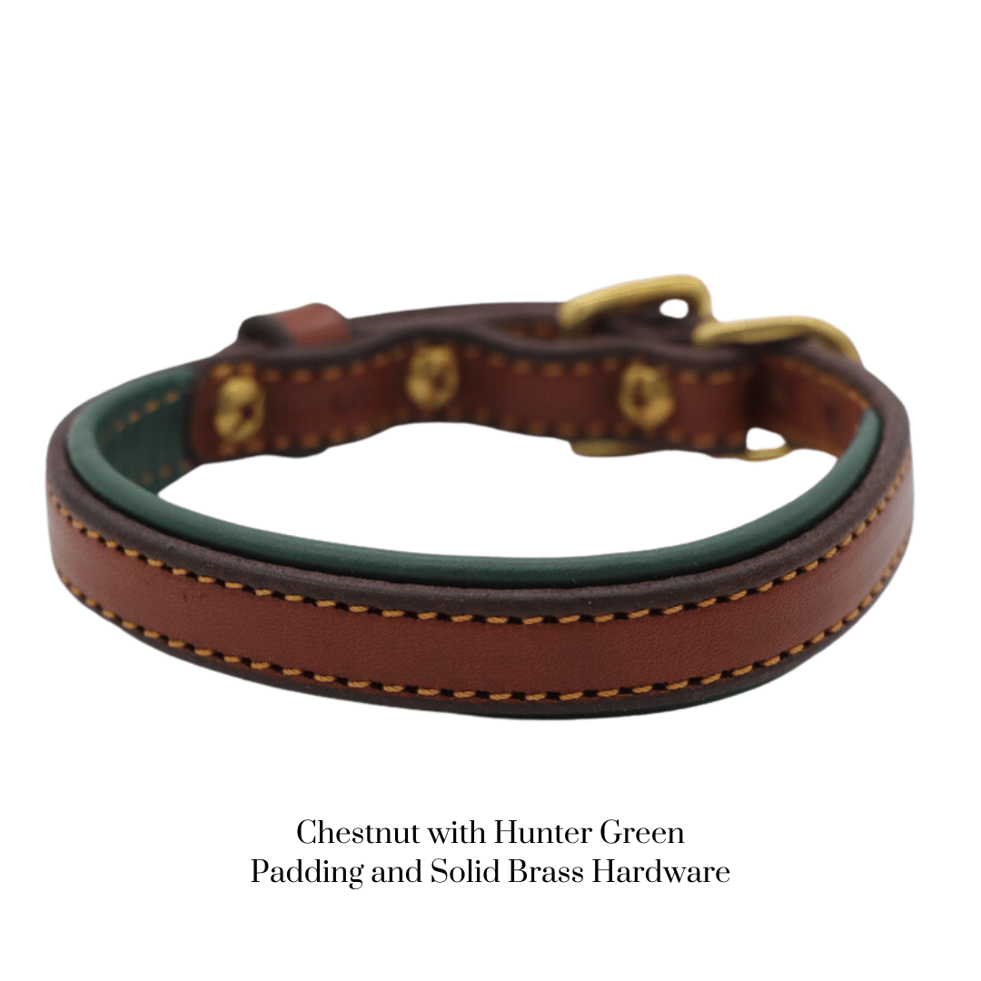 Remarkable Leather Goods Padded Dog Collar - Remarkable Leather Goods - Equiluxe Tack