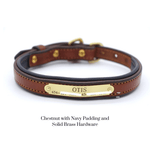 Remarkable Leather Goods Padded Dog Collar - Remarkable Leather Goods - Equiluxe Tack