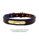 Remarkable Leather Goods Padded Dog Collar - Remarkable Leather Goods - Equiluxe Tack