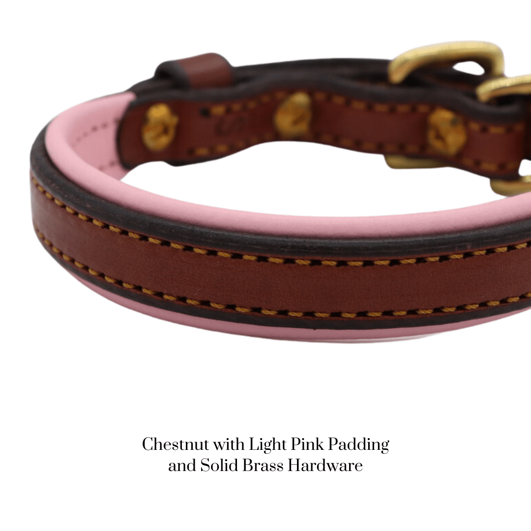 Remarkable Leather Goods Padded Dog Collar - Remarkable Leather Goods - Equiluxe Tack
