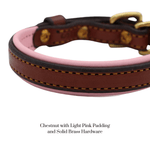 Remarkable Leather Goods Padded Dog Collar - Remarkable Leather Goods - Equiluxe Tack