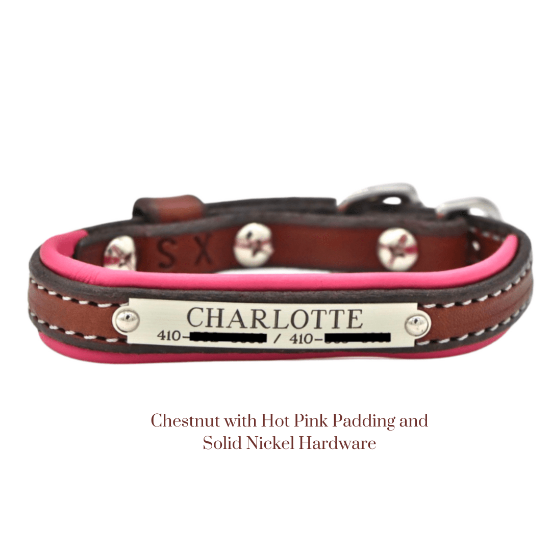 Remarkable Leather Goods Padded Dog Collar - Remarkable Leather Goods - Equiluxe Tack