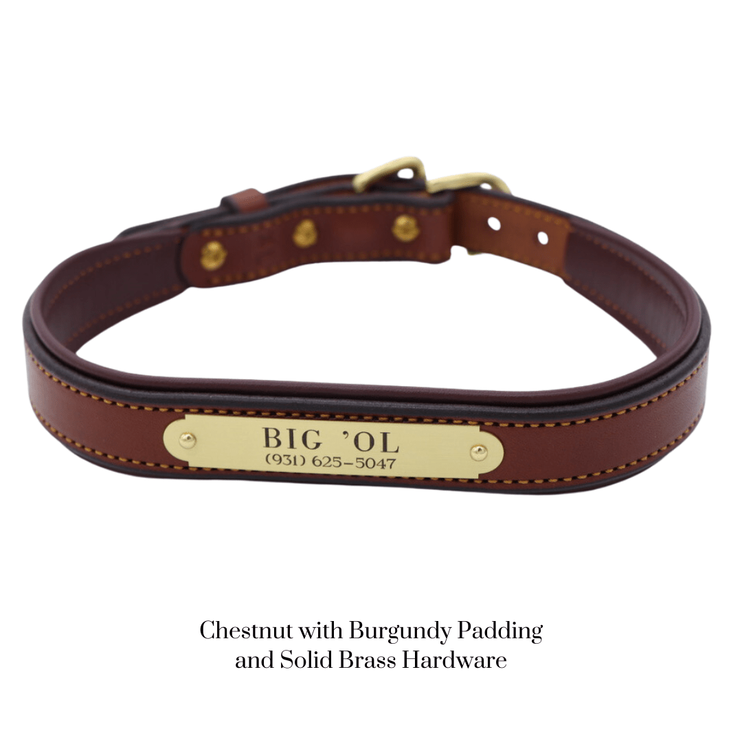 Remarkable Leather Goods Padded Dog Collar - Remarkable Leather Goods - Equiluxe Tack