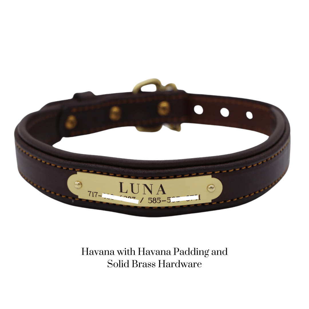 Remarkable Leather Goods Padded Dog Collar - Remarkable Leather Goods - Equiluxe Tack