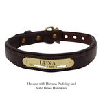 Remarkable Leather Goods Padded Dog Collar - Remarkable Leather Goods - Equiluxe Tack