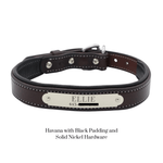 Remarkable Leather Goods Padded Dog Collar - Remarkable Leather Goods - Equiluxe Tack