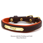 Remarkable Leather Goods Padded Dog Collar - Remarkable Leather Goods - Equiluxe Tack