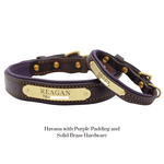 Remarkable Leather Goods Padded Dog Collar - Remarkable Leather Goods - Equiluxe Tack