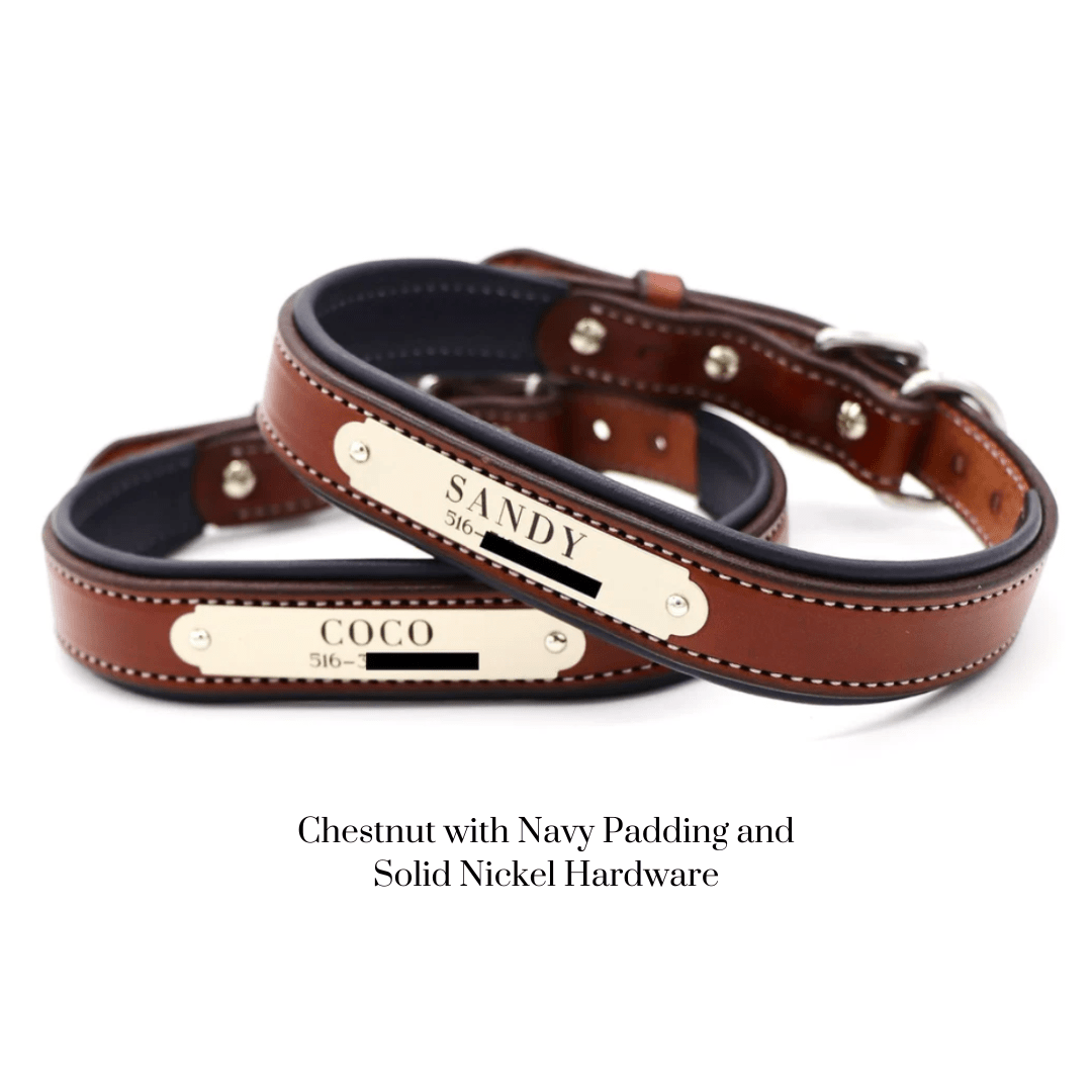 Remarkable Leather Goods Padded Dog Collar - Remarkable Leather Goods - Equiluxe Tack