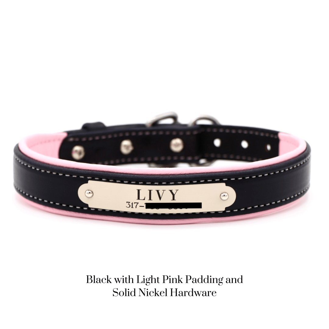 Remarkable Leather Goods Padded Dog Collar - Remarkable Leather Goods - Equiluxe Tack