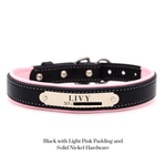 Remarkable Leather Goods Padded Dog Collar - Remarkable Leather Goods - Equiluxe Tack