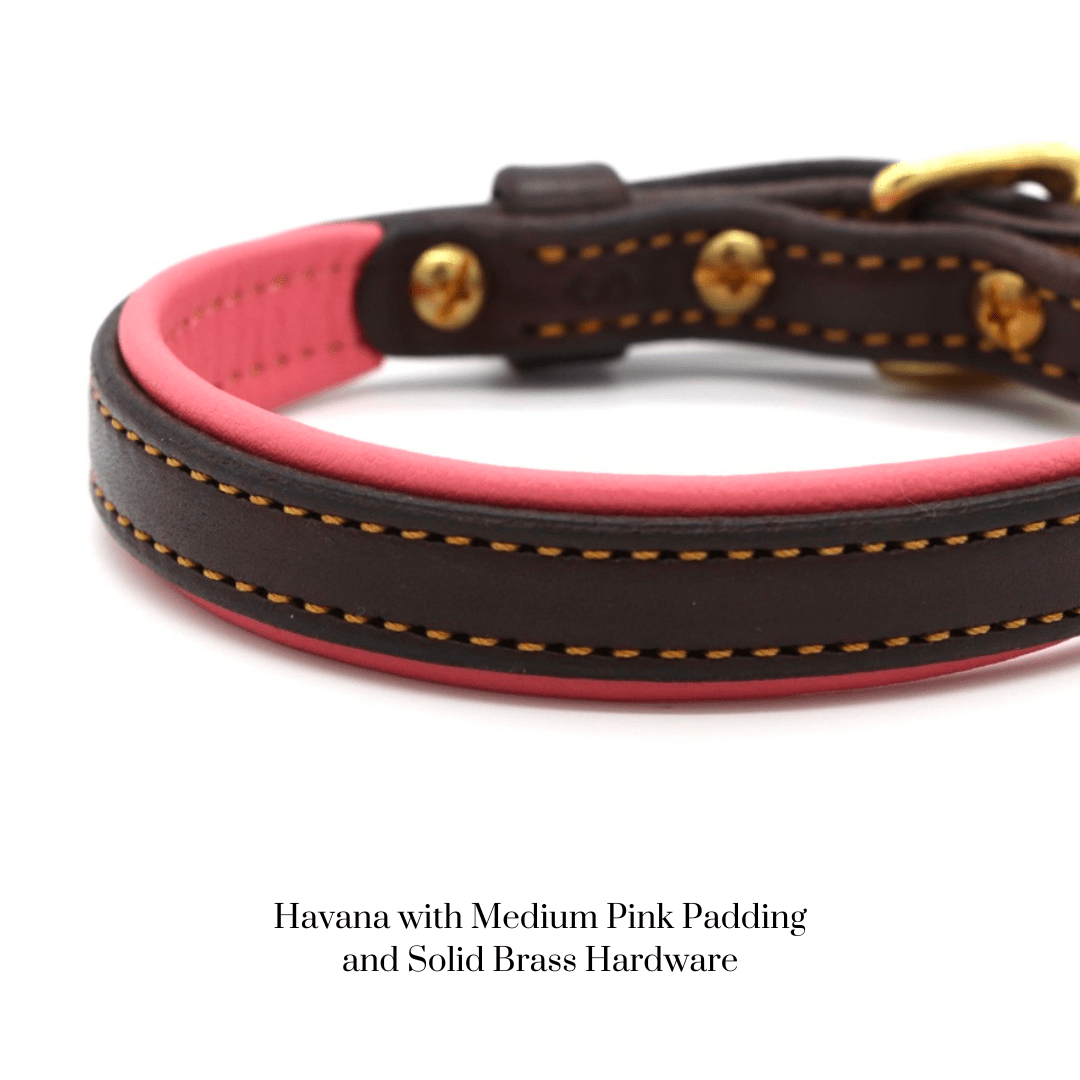 Remarkable Leather Goods Padded Dog Collar - Remarkable Leather Goods - Equiluxe Tack