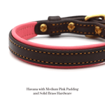 Remarkable Leather Goods Padded Dog Collar - Remarkable Leather Goods - Equiluxe Tack