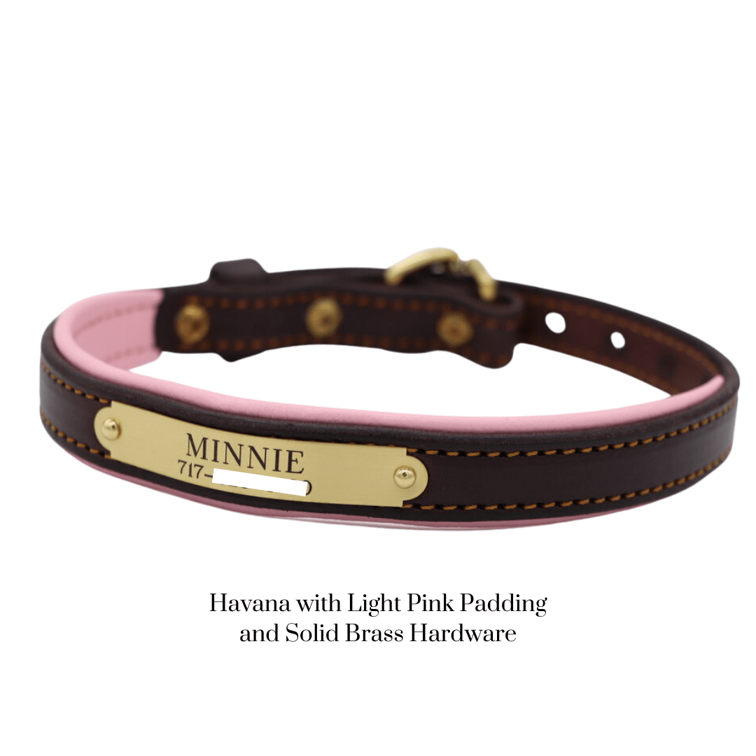 Remarkable Leather Goods Padded Dog Collar - Remarkable Leather Goods - Equiluxe Tack