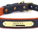 Remarkable Leather Goods Padded Dog Collar - Remarkable Leather Goods - Equiluxe Tack