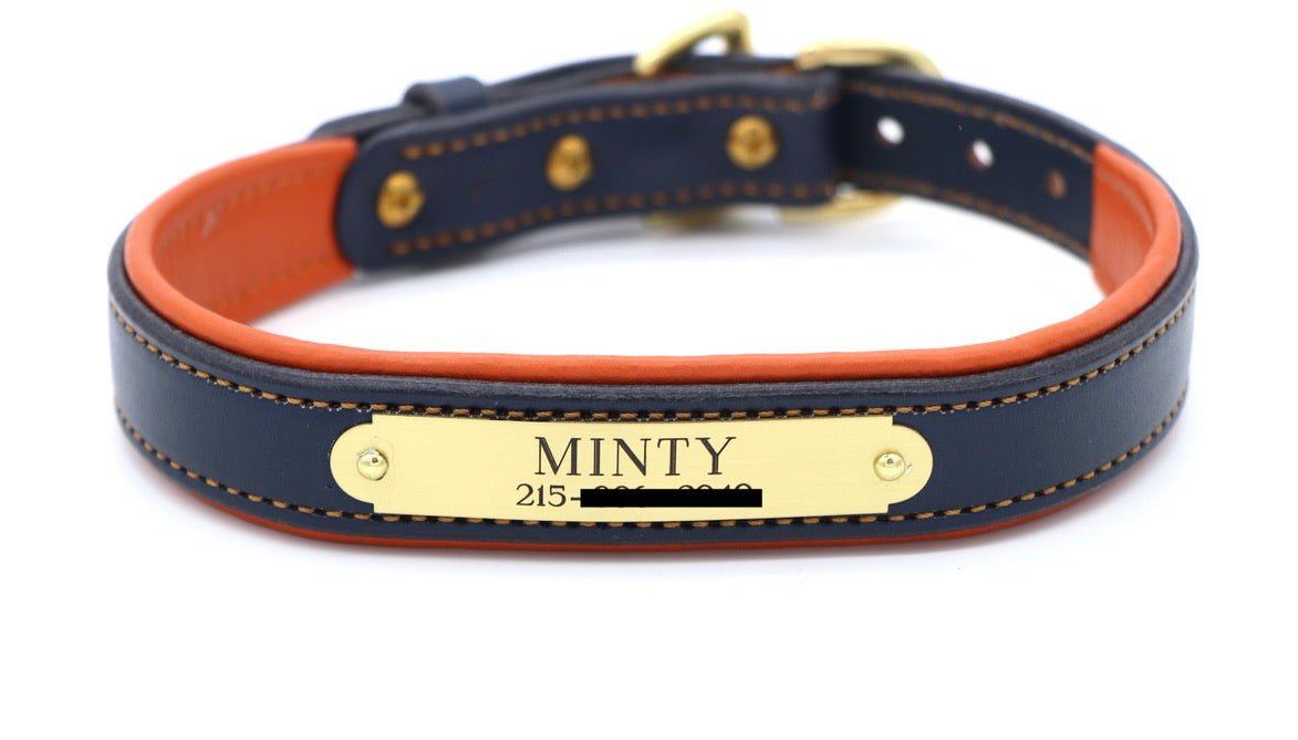 Remarkable Leather Goods Padded Dog Collar - Remarkable Leather Goods - Equiluxe Tack