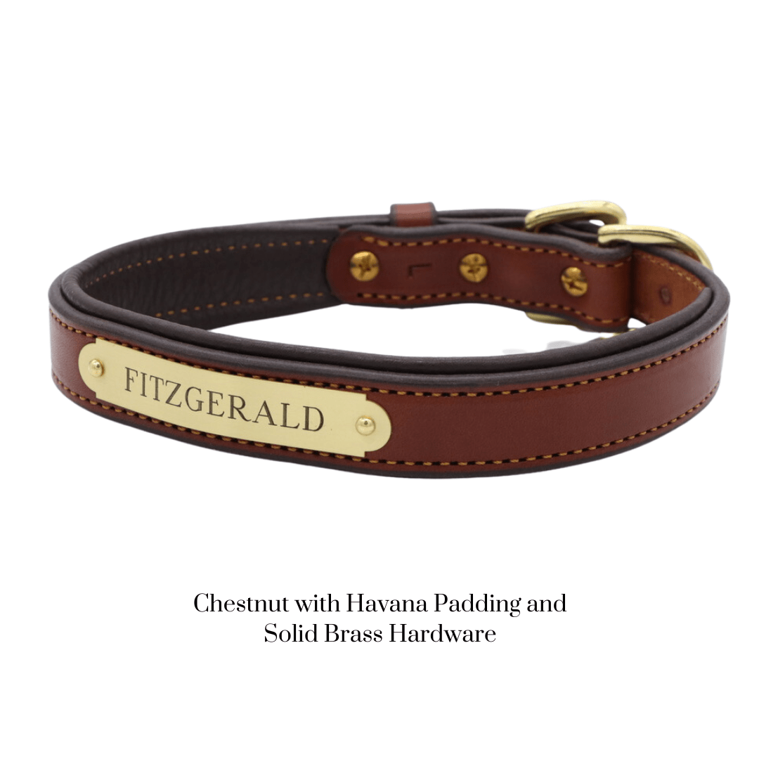 Remarkable Leather Goods Padded Dog Collar - Remarkable Leather Goods - Equiluxe Tack