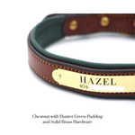 Remarkable Leather Goods Padded Dog Collar - Remarkable Leather Goods - Equiluxe Tack