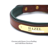 Remarkable Leather Goods Padded Dog Collar - Remarkable Leather Goods - Equiluxe Tack
