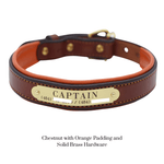 Remarkable Leather Goods Padded Dog Collar - Remarkable Leather Goods - Equiluxe Tack