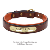 Remarkable Leather Goods Padded Dog Collar - Remarkable Leather Goods - Equiluxe Tack