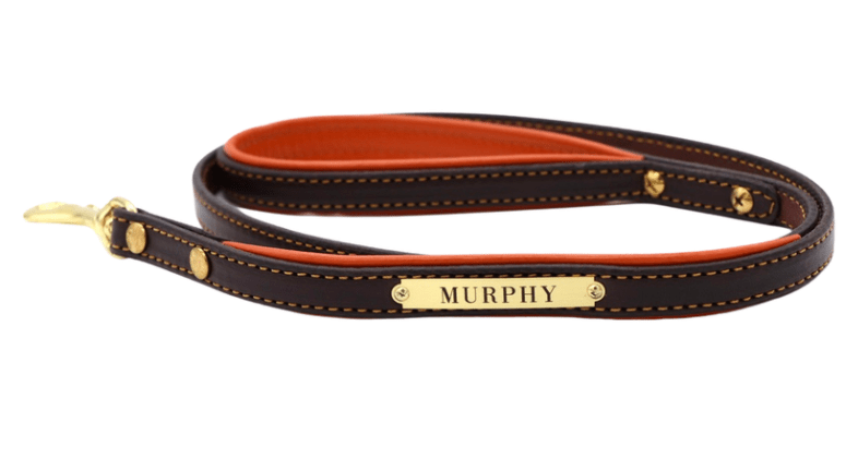 Remarkable Leather Goods Padded Dog Leash - Remarkable Leather Goods - Equiluxe Tack