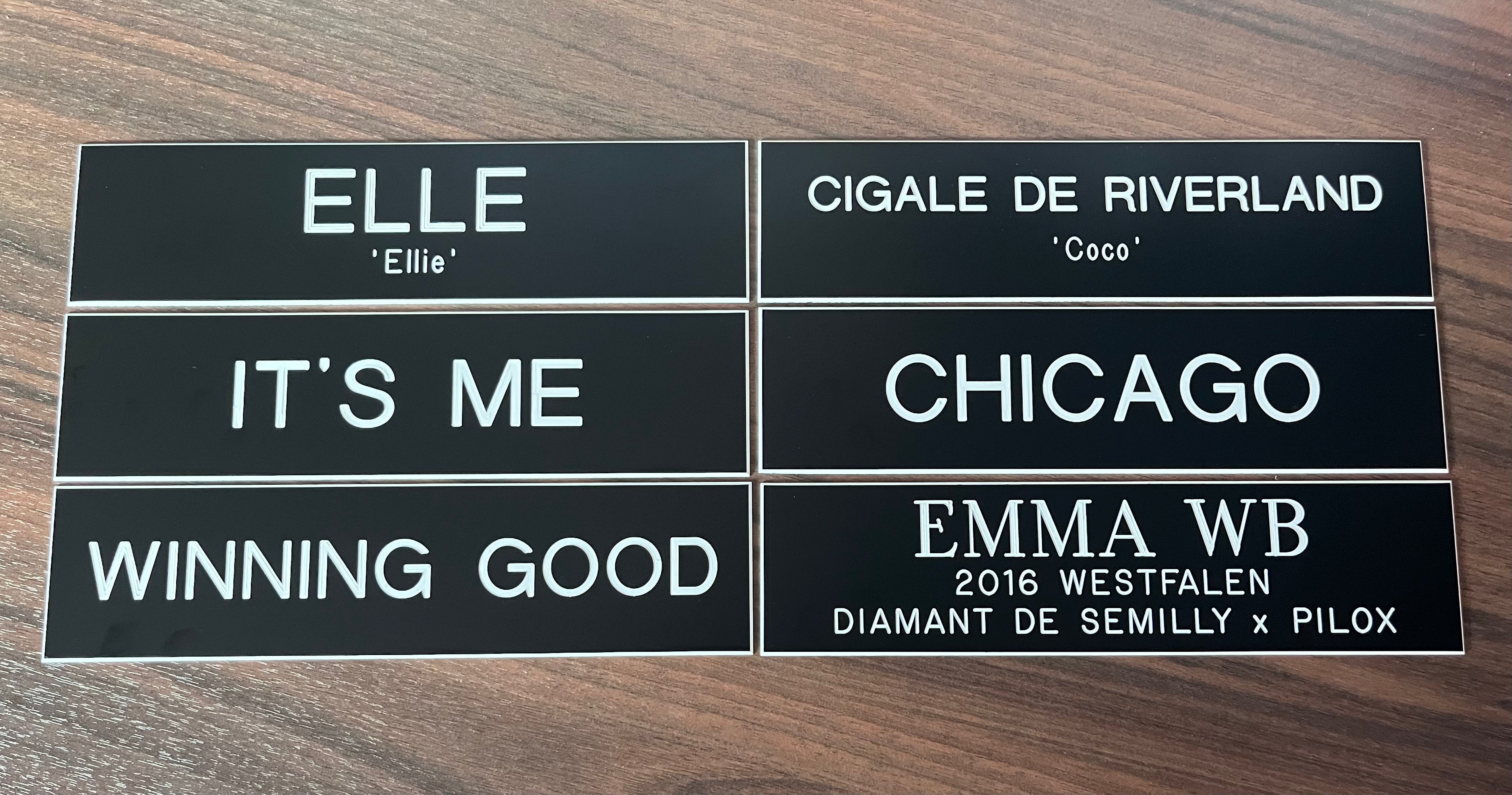 Remarkable Leather Goods Plastic Stall Plate - Remarkable Leather Goods - Equiluxe Tack