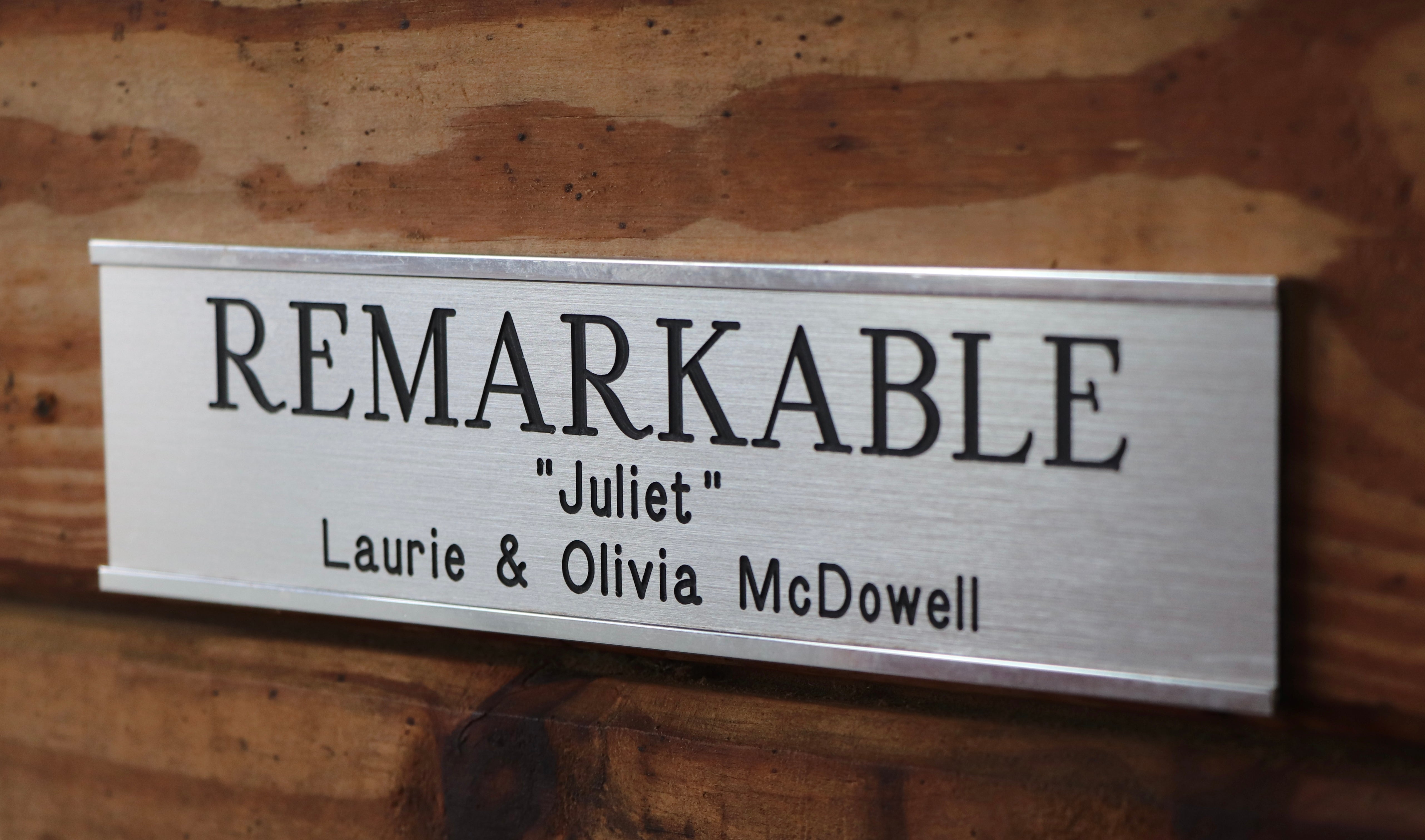 Remarkable Leather Goods Plastic Stall Plate - Remarkable Leather Goods - Equiluxe Tack