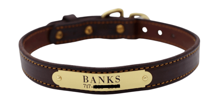 Remarkable Leather Goods Stitched Dog Collar - Remarkable Leather Goods - Equiluxe Tack