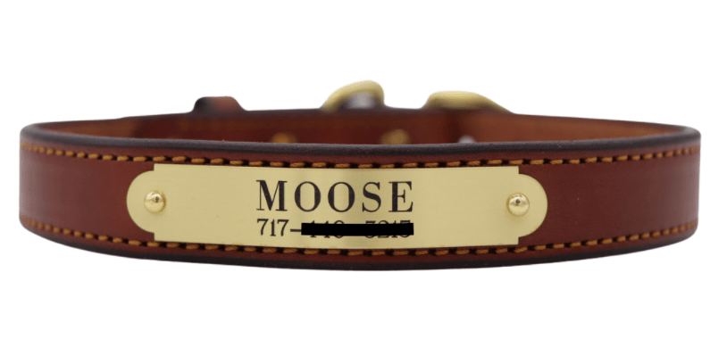 Remarkable Leather Goods Stitched Dog Collar - Remarkable Leather Goods - Equiluxe Tack