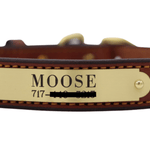 Remarkable Leather Goods Stitched Dog Collar - Remarkable Leather Goods - Equiluxe Tack